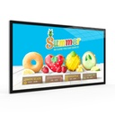 Android Advertising Display