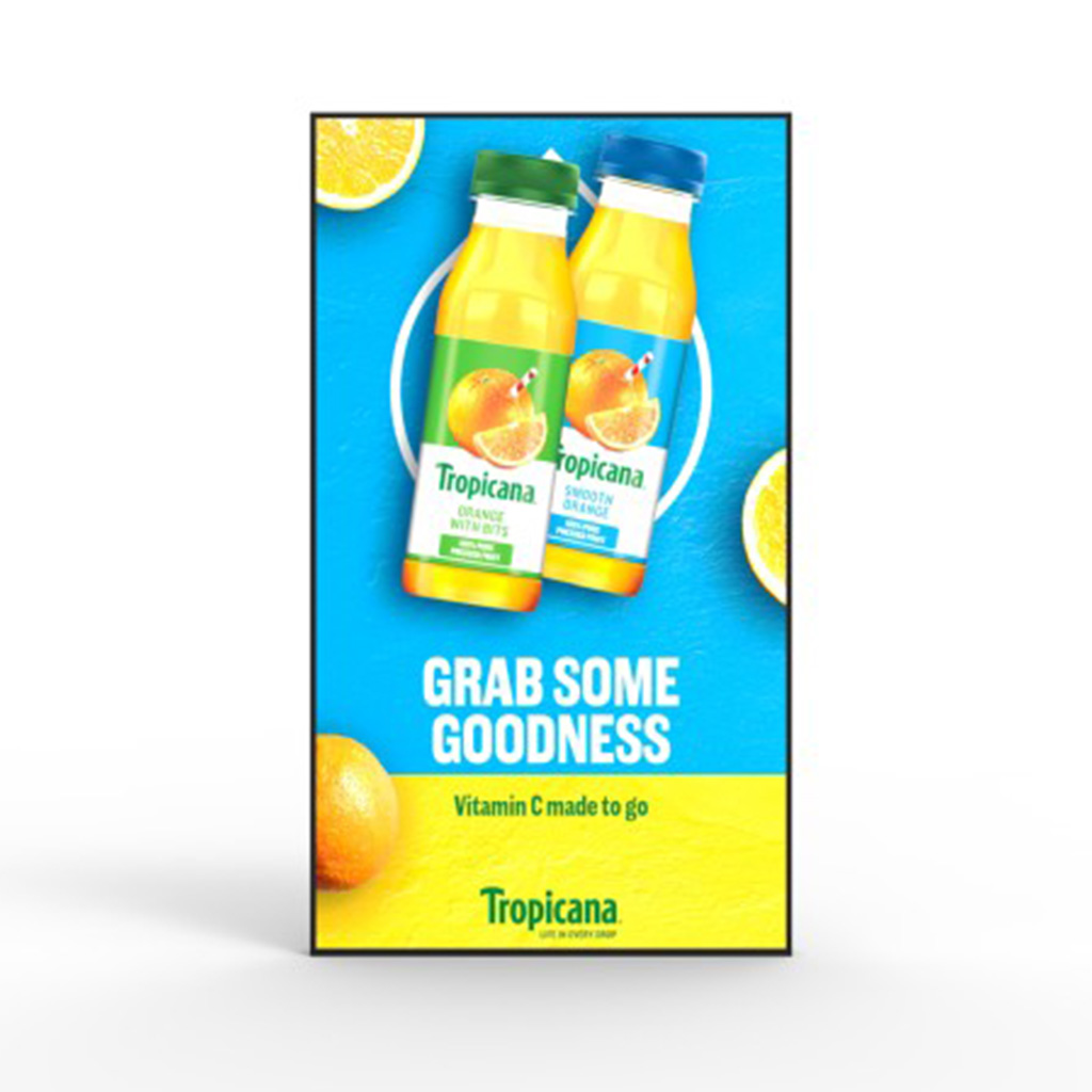 Ultra High Brightness Professional Display