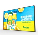 Ultra High Brightness Professional Display