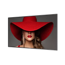 Philips D-Line Display 65BDL4650D