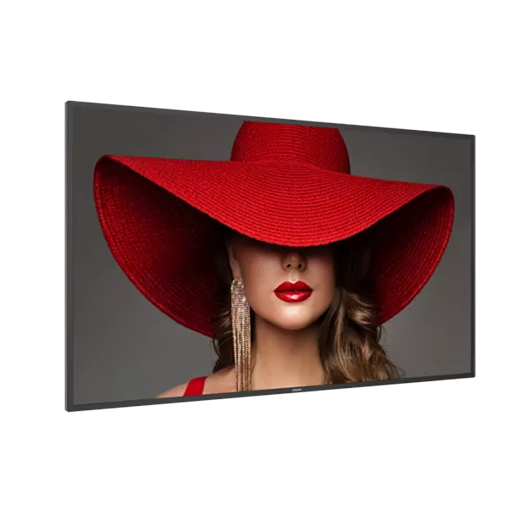 Philips D-Line Display 32BDL4650D