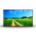 43″ Professional Monitor