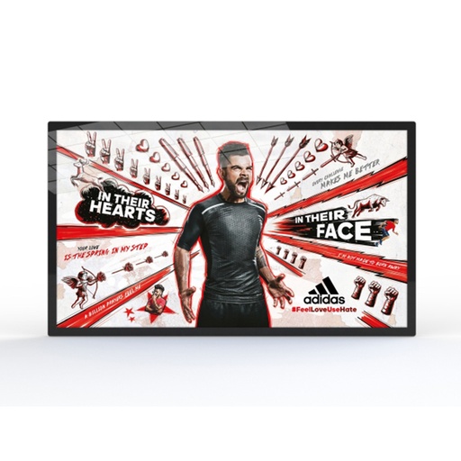 43″ Android Advertising Display