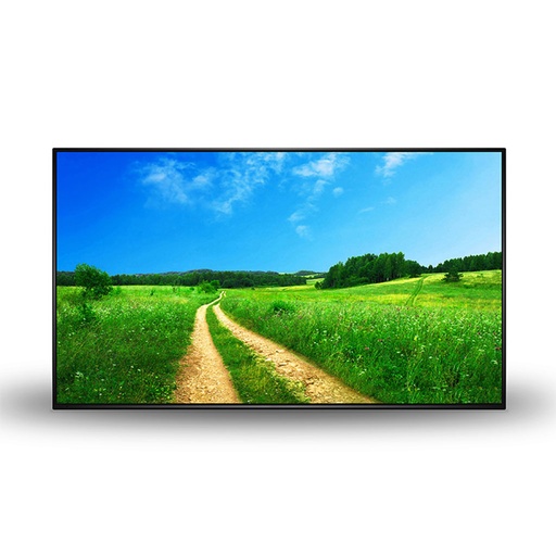 32″ Professional Monitor